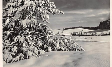 Zugerberg, Hotel Restaurant im Winter