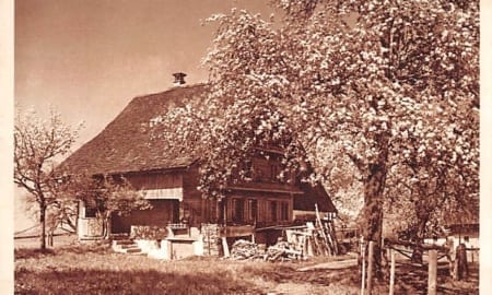 Zugerberg, Blaukreuzjugendwerk, Phot. Gaberell