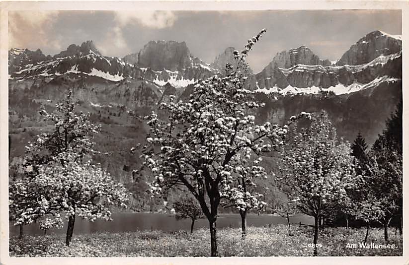 Unterterzen (?), Walensee