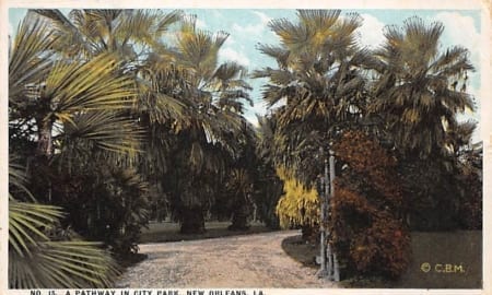 LA - New Orleans, Pathway in City Park