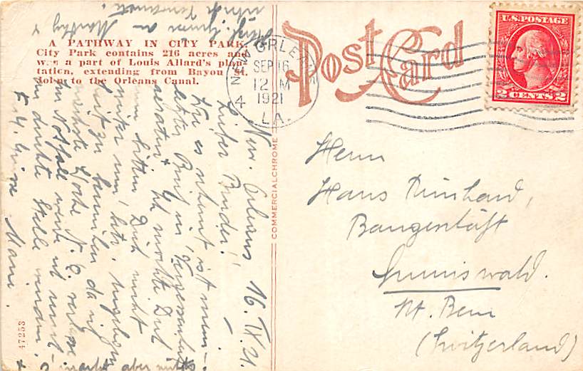 LA - New Orleans, Pathway in City Park