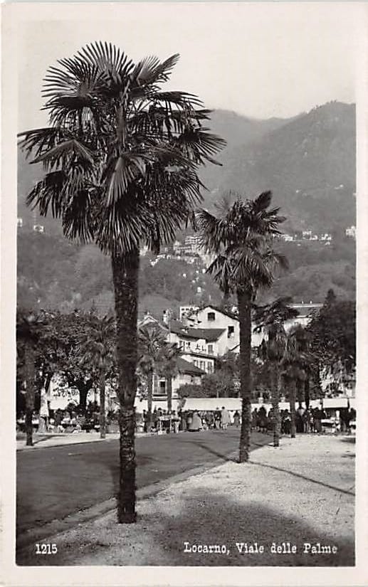 Locarno, Viale delle Palme