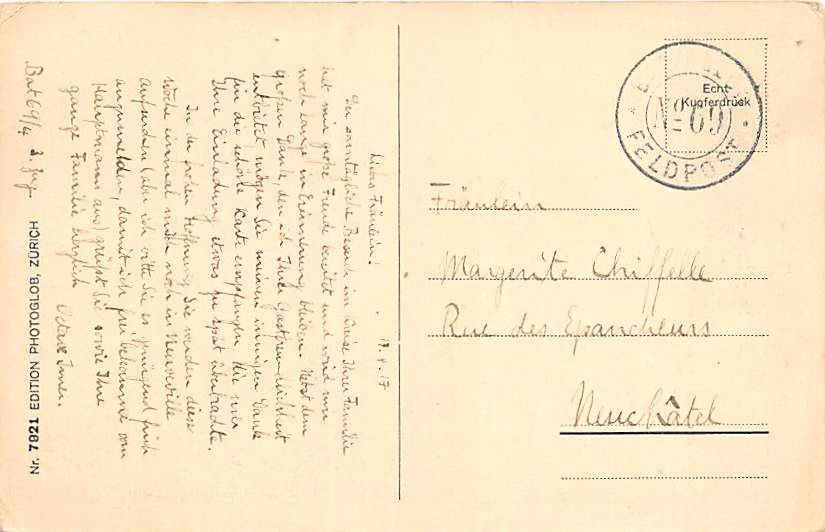 La Neuveville, Vu du Lac