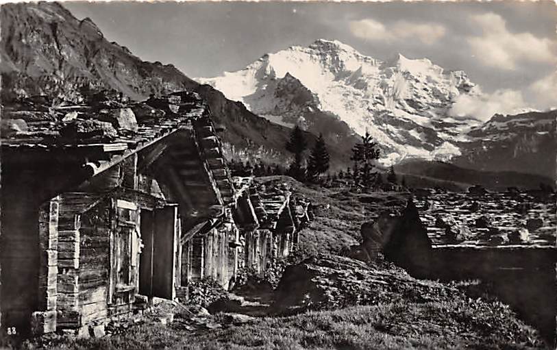 Wengen, Alphütten und Jungfrau