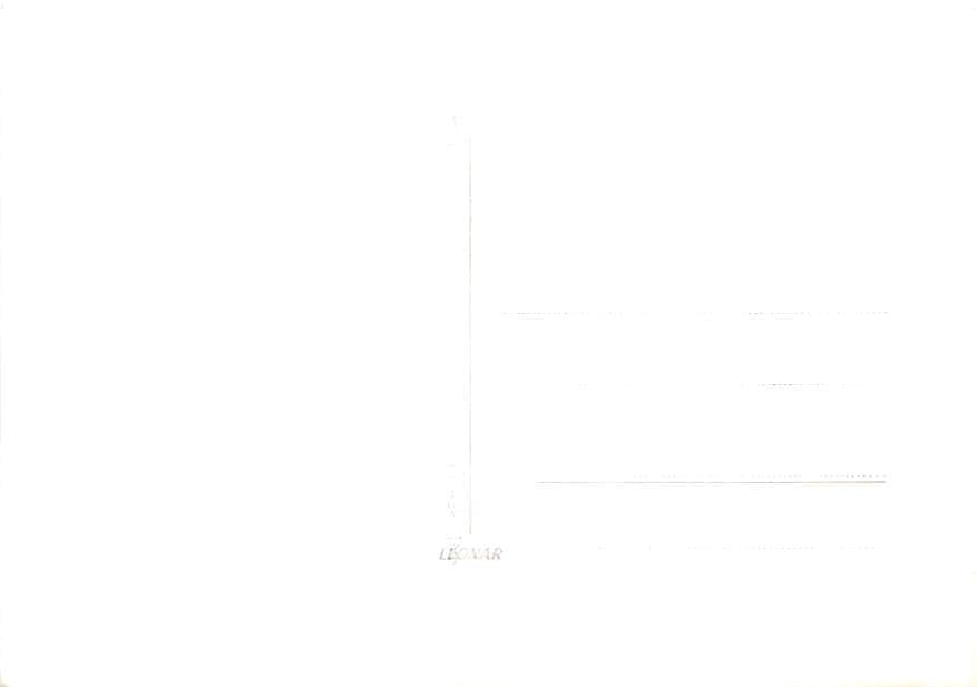 Wiesberg b. Landeck, Trisannabrücke