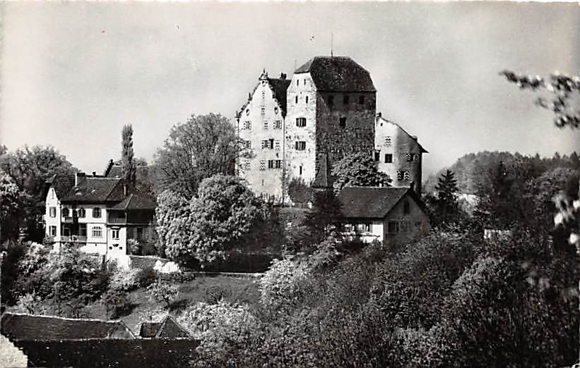 Möriken-Wildegg, Schloss Wildegg