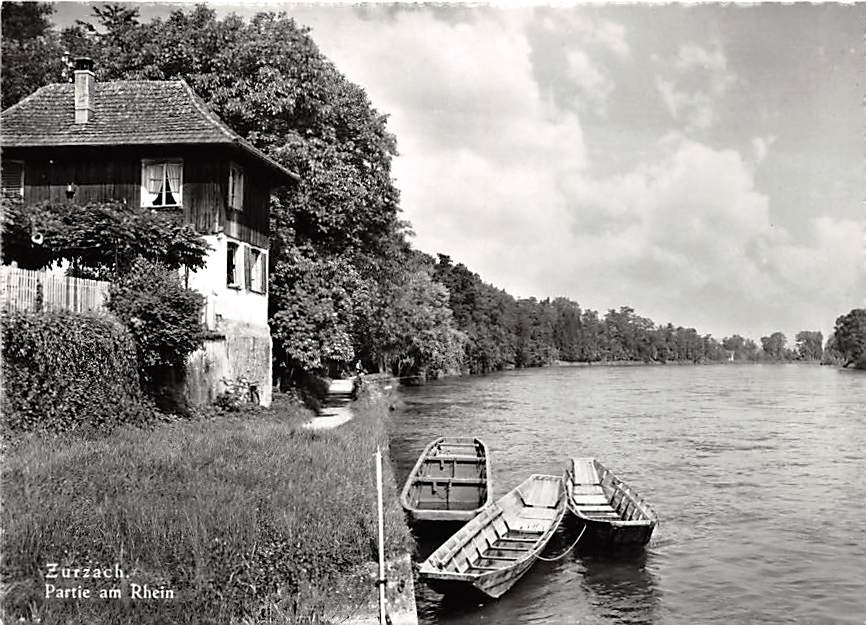 Zurzach, Partie am Rhein, Ruderboote