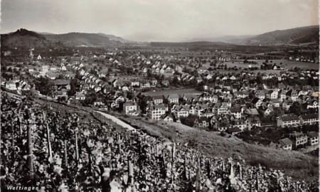Wettingen, Weinberg