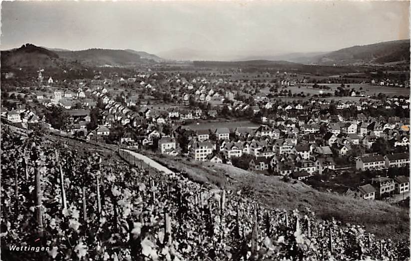 Wettingen, Weinberg
