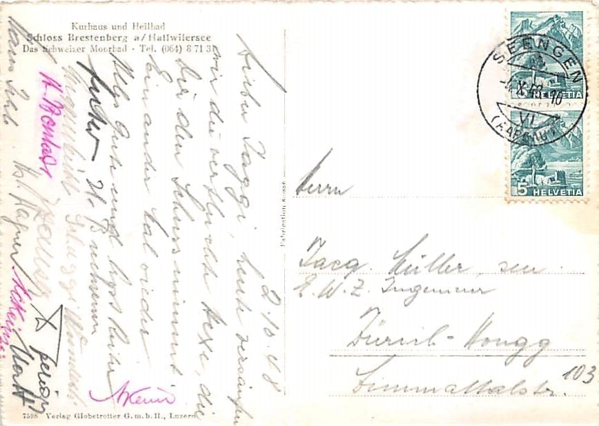 Seengen, Schloss Brestenberg am Hallwilersee