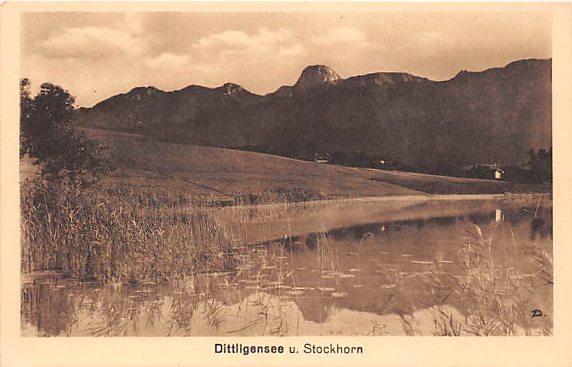 Forst-Längenbühl, Dittligensee