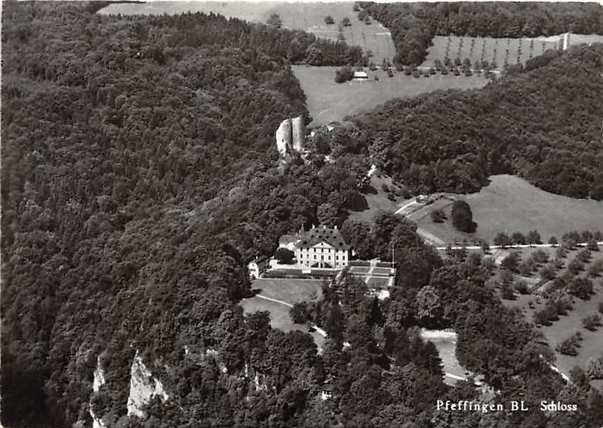 Pfeffingen, Schloss, Flugaufnahme