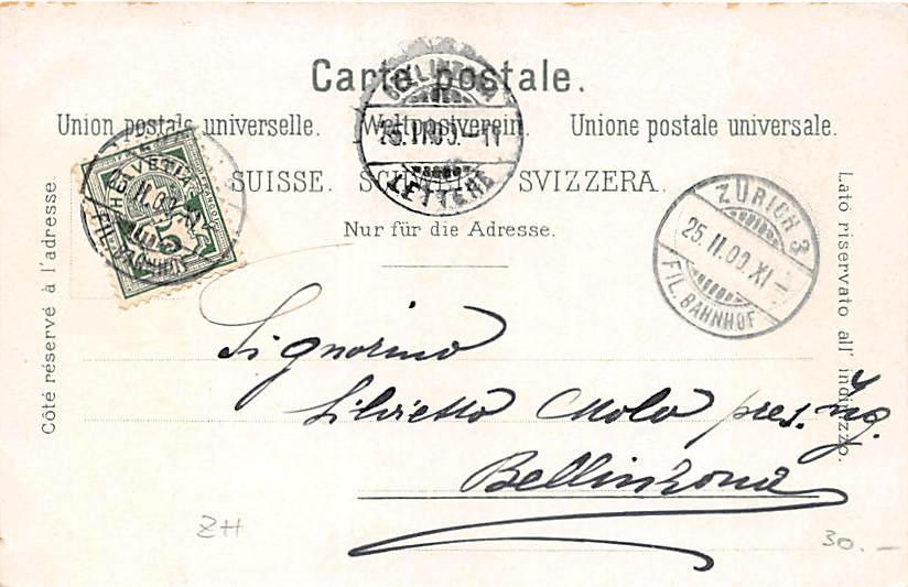 Zürich, Grossmünster und die Alpen