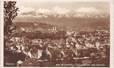 Winterthur, Totalansicht vom Bäumli