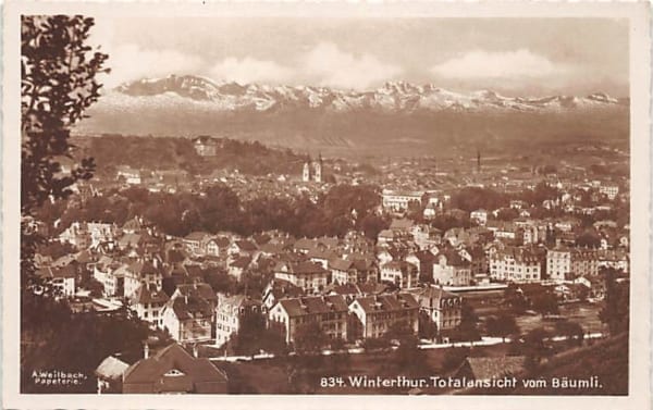 Winterthur, Totalansicht vom Bäumli