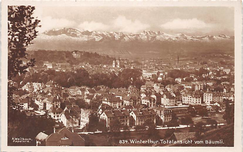 Winterthur, Totalansicht vom Bäumli