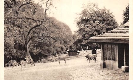 Zofingen, Hirschpark