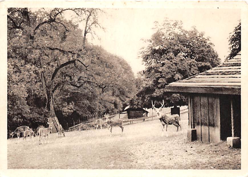 Zofingen, Hirschpark