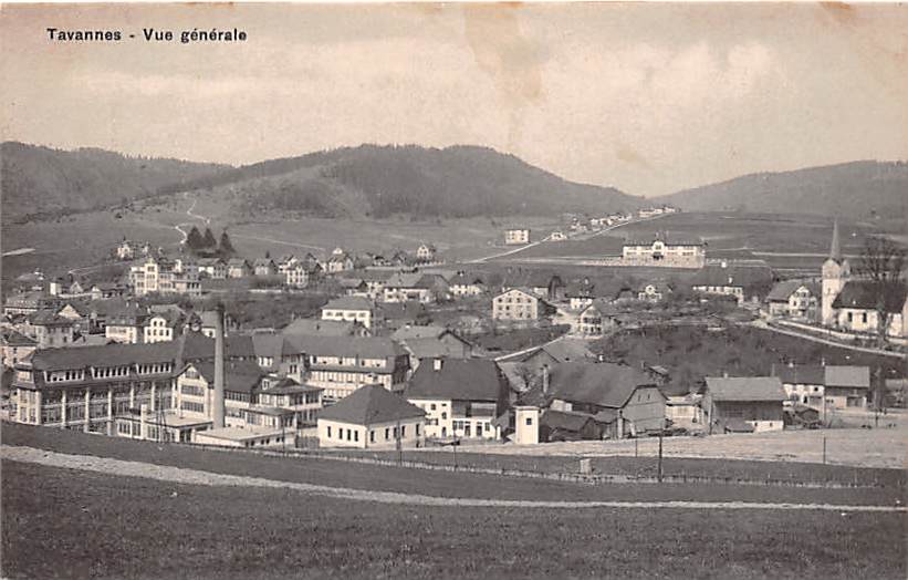 Tavannes, Vue generale