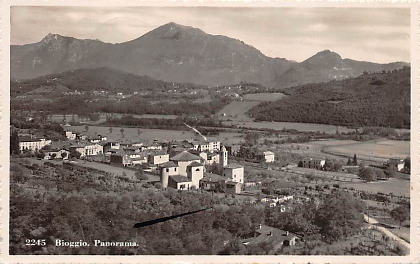 Bioggio, Panorama