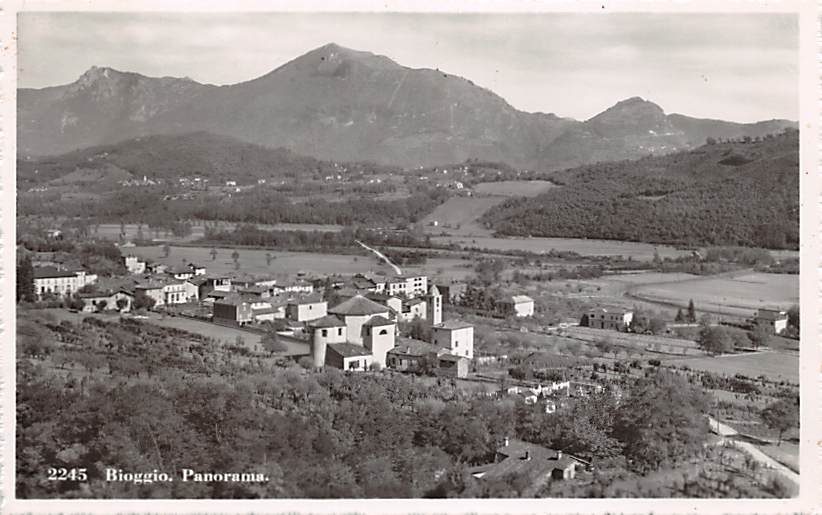 Bioggio, Panorama