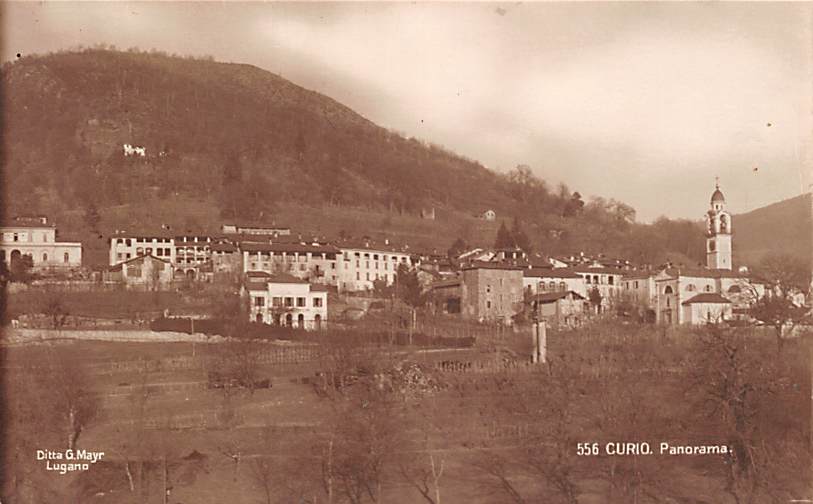 Curio, Panorama