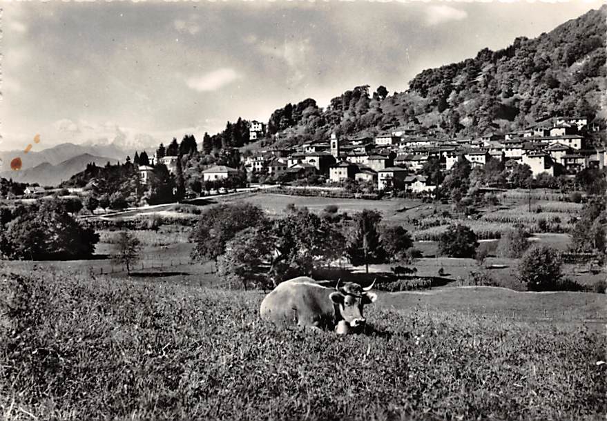Novaggio