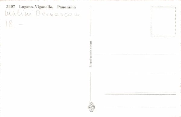 Lugano-Viganello, Panorama