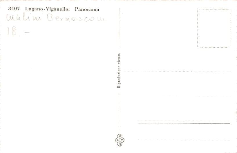 Lugano-Viganello, Panorama