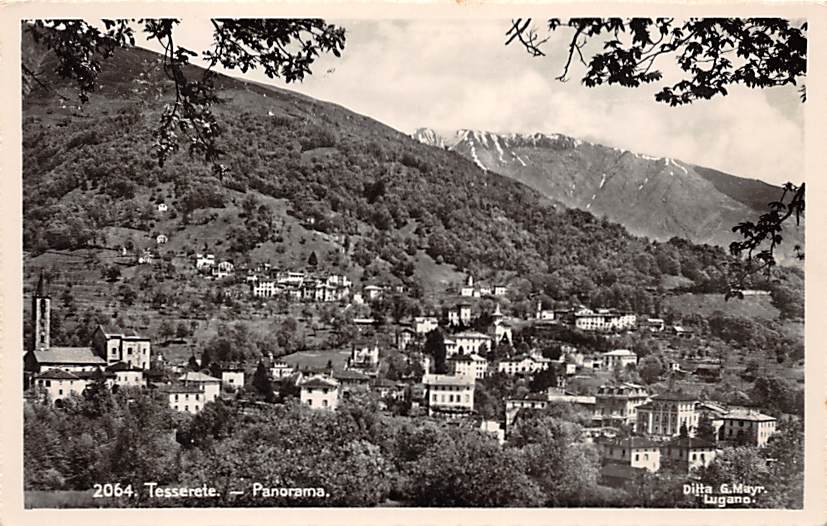 Tesserete, Panorama