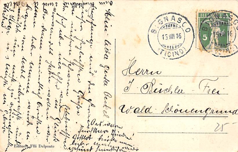 Bignasco, Vista generale