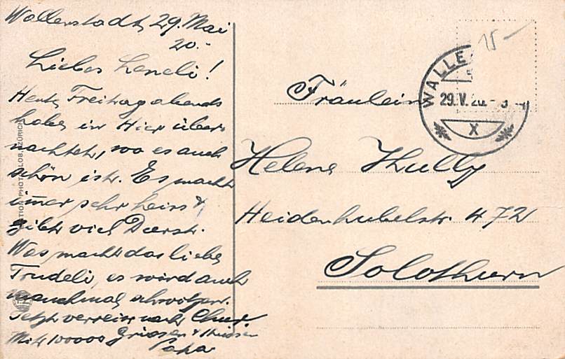 Wallenstadt, Partie an der Bergstrasse