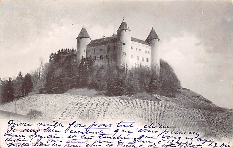 Chateau d'Oex, vue générale