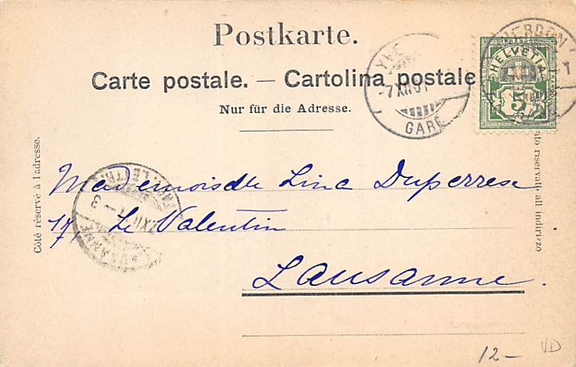 Chateau d'Oex, vue générale