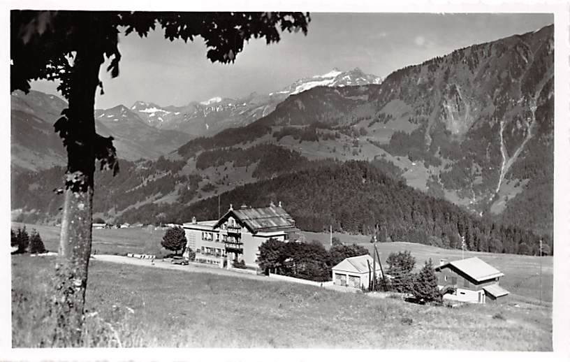 Leysin, La Rose des Alpes