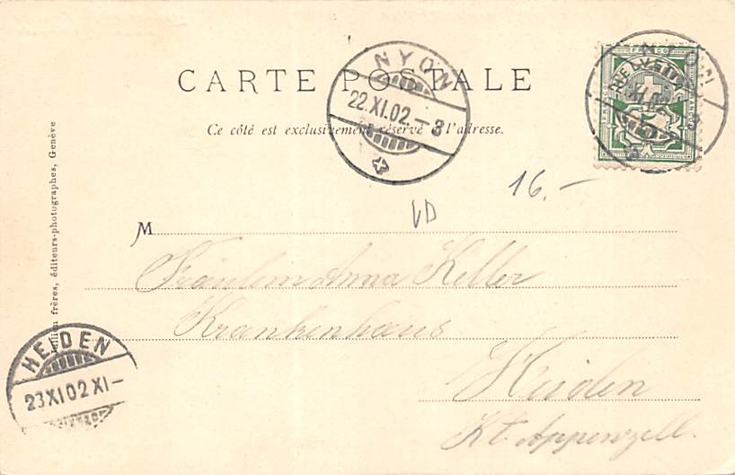 Nyon, Vue générale