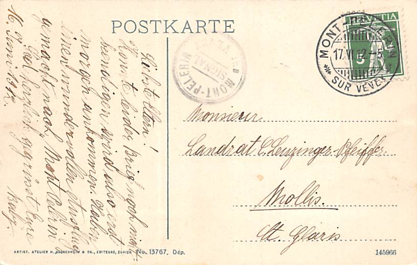 Vevey, Vue prise du Pelerin