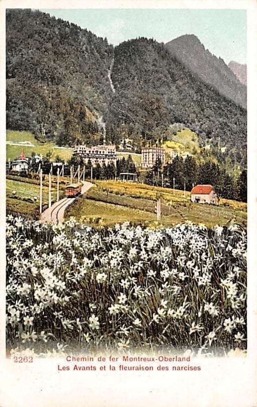 Montreux, Chemin de fer Montreux-Oberland