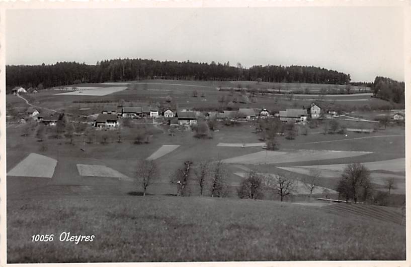 Oleyres