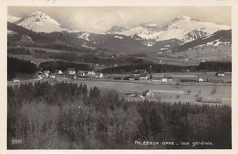 Palézieux, Gare, Vue générale
