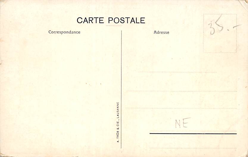 Neuenburg, Neuchâtel, Hotel Terminus et Hotel des Alpes