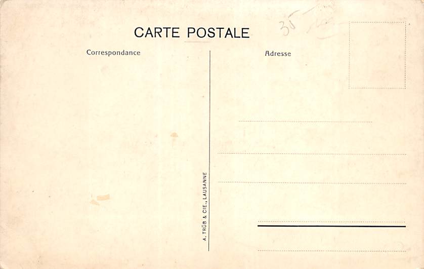Neuenburg, Neuchâtel, Hotel Terminus et Hotel des Alpes
