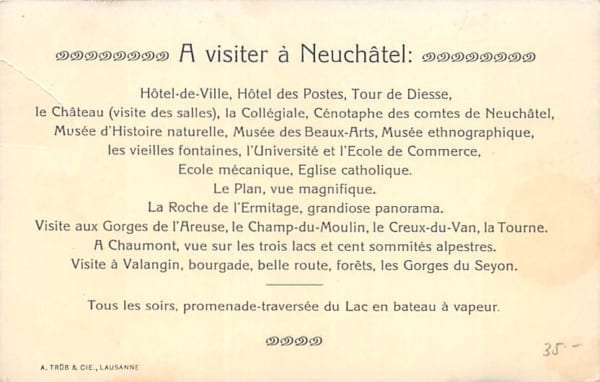Neuenburg, Neuchâtel, Hotel Terminus et Hotel des Alpes