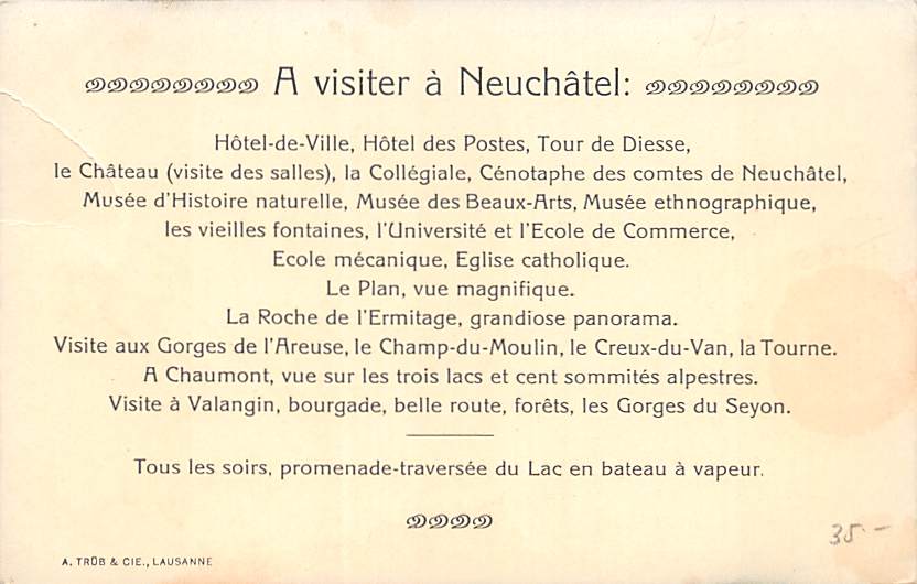 Neuenburg, Neuchâtel, Hotel Terminus et Hotel des Alpes