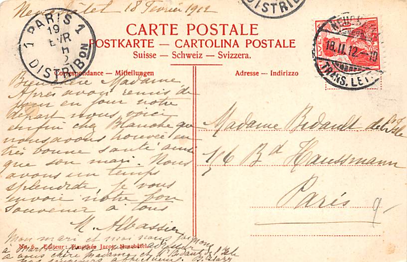 Neuenburg, Neuchâtel, Le Chateau et les Alpes