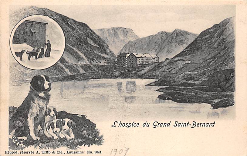 Grand St. Bernard, L'hospice du Grand St. Bernard