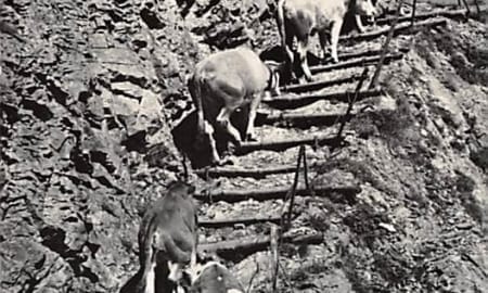 Adelboden, Bergfahrt nach Engstligenalp