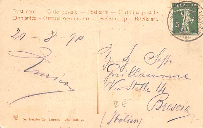 Meiringen, Gesamtansicht mit Rosenlauigruppe