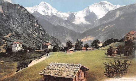 Wilderswil, Generalansicht