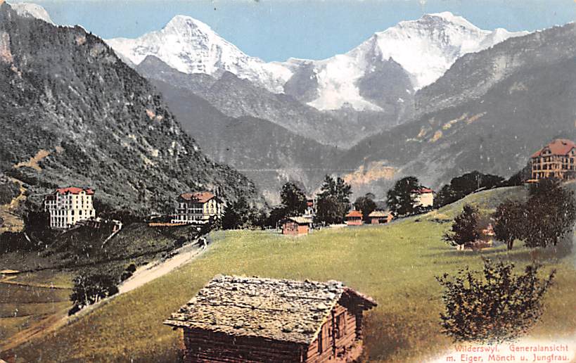 Wilderswil, Generalansicht